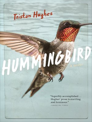 cover image of Hummingbird